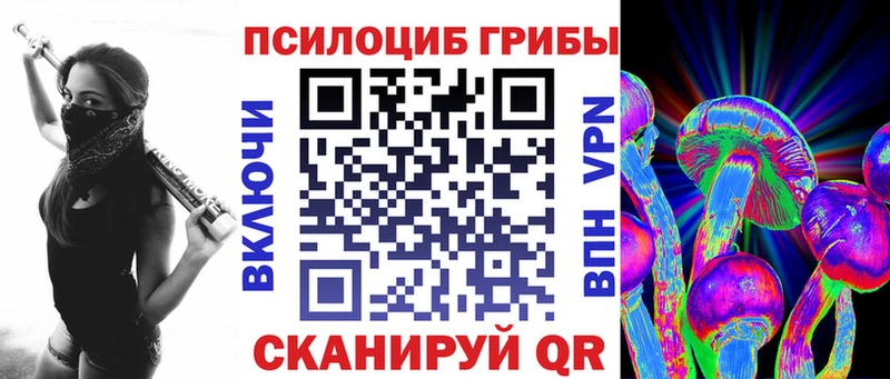 OMG как зайти  Сертолово  Галлюциногенные грибы MAGIC MUSHROOMS 
